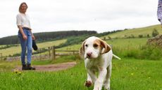 Tessa-Waugh-summer-shoot-2019-DSC_7073_324304571_516247251.jpg