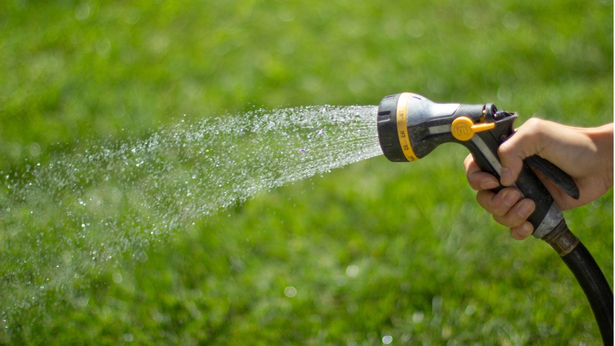 Combien de temps faut-il arroser une pelouse, selon les jardiniers professionnels