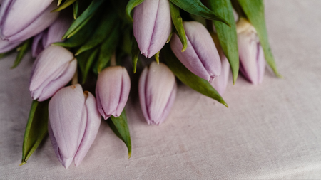 Lilac tulips on blush tablecloth