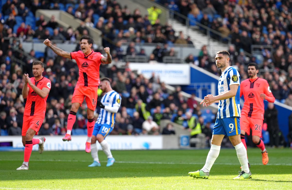 Brighton and Hove Albion v Norwich City – Premier League – AMEX Stadium