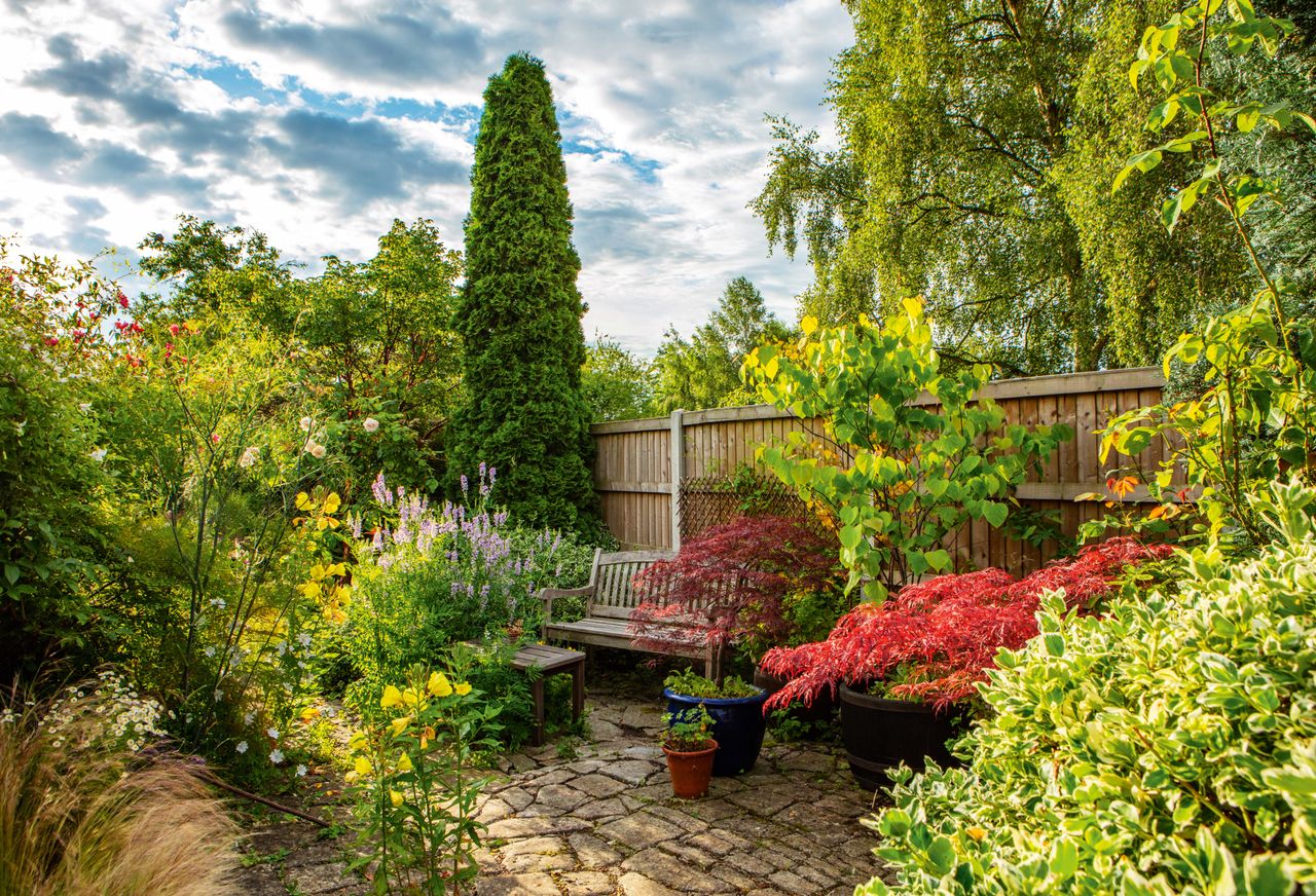 best gardening books: paved garden filled with plants