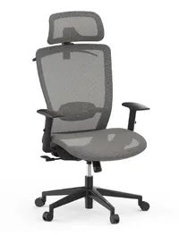 FlexiSpot OC3