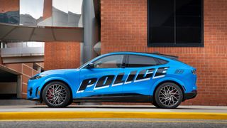 Ford Police