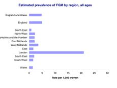FGM stats