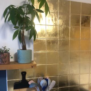 room with plant in pots and tiled walls