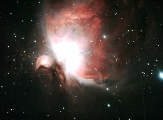 M42 With Orionid Meteor Trail in Alexandria, Virginia