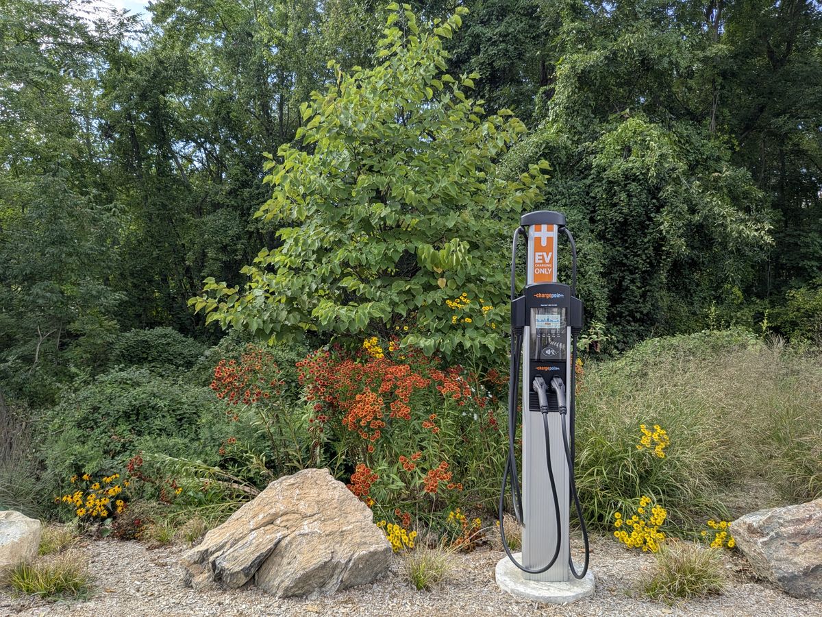 Google Pixel 9 Pro Fold camera image samples