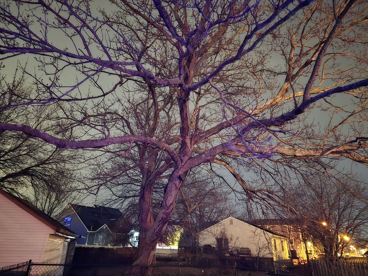 Samsung Galaxy S24 Ultra low light sample.
