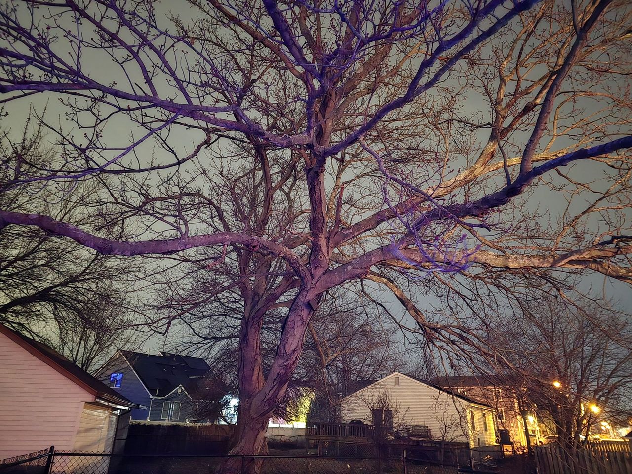 Samsung Galaxy S24 Ultra low light sample.