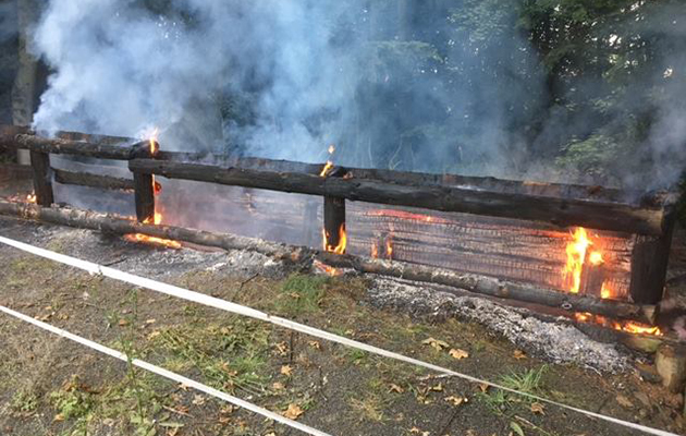 fence-on-fire.jpg