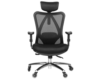 Duramont Ergonomic Office Chair: was $329 now $229 @ Amazon