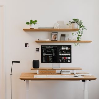 A standing desk with a computer screen and keyboard and floating shelves with plants above it