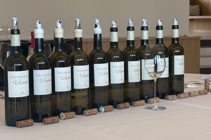 A vertical of Château Valandraud blanc