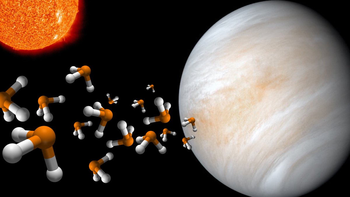 Leben auf der Venus?  Erneut Phosphin in den Wolken des Planeten entdeckt