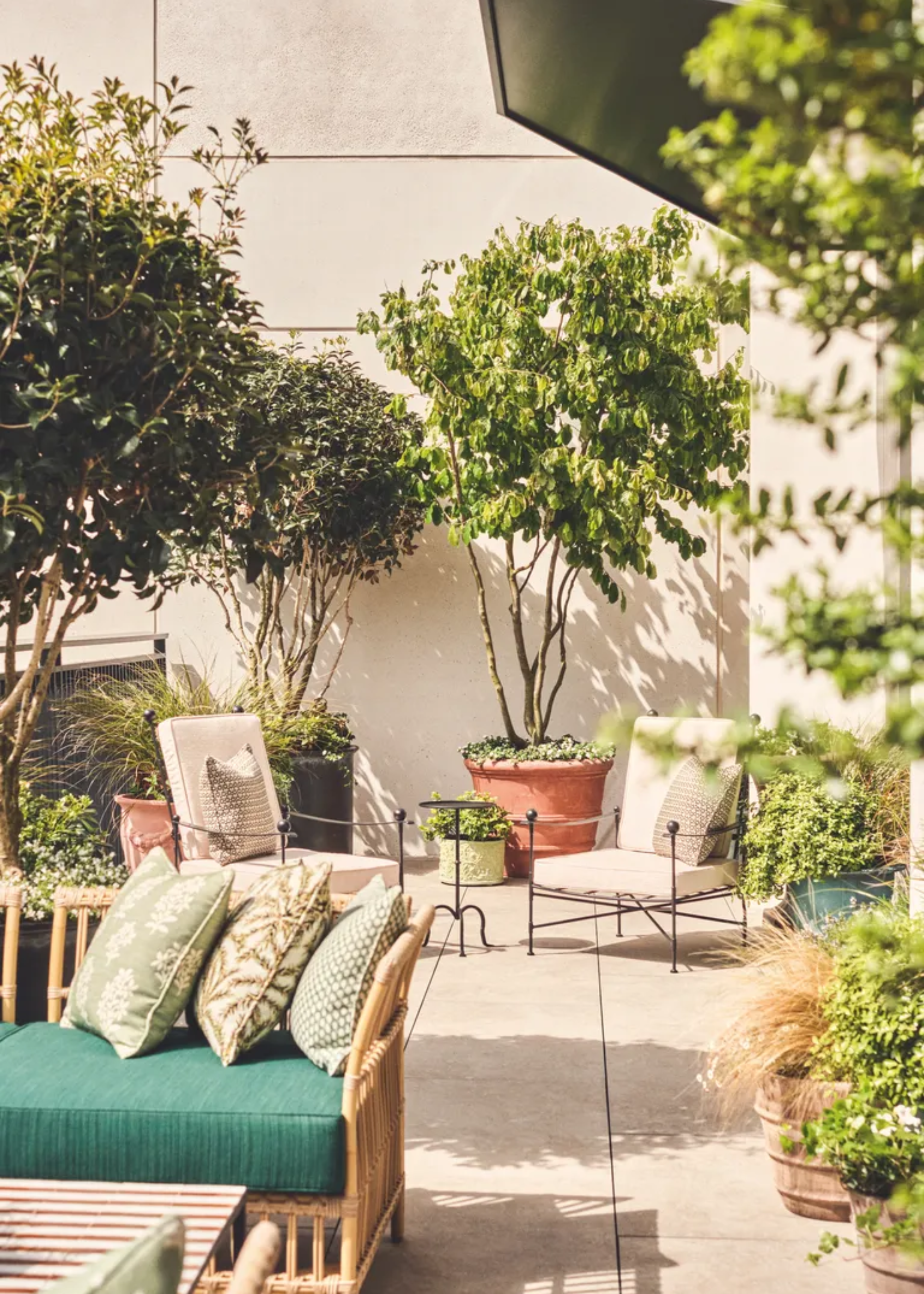 A patio with outdoor furniture, a sofa with pillows, and an array of large potted trees and smaller potted plants