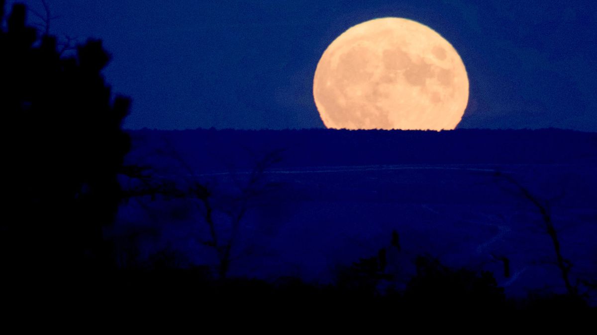 October's Full 'Hunter's Moon' Of 2021 Wows Skywatchers (photos) | Space