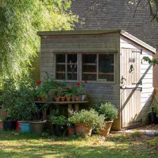 A wooden garden shed with a table filled with potted plants