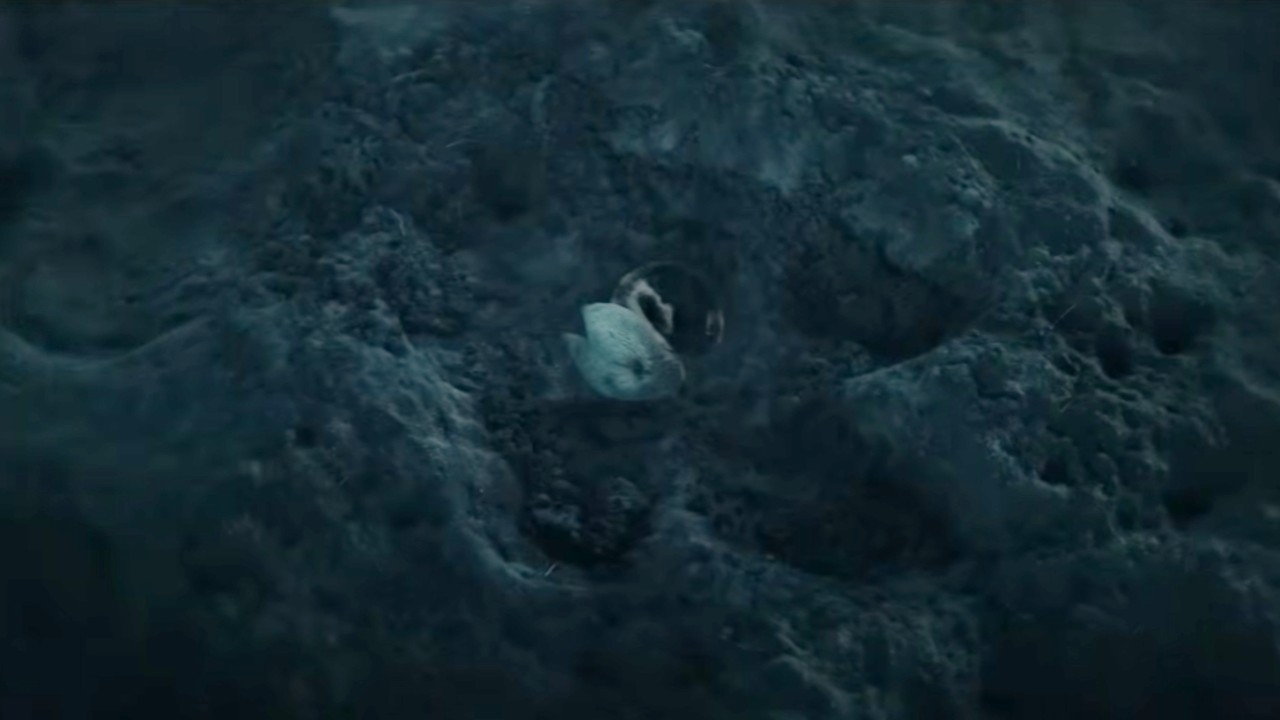 Momo lying in a pawprint in Avatar: The Last Airbender.