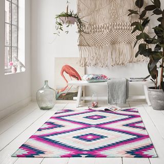 room with accessorize rug and potted plant