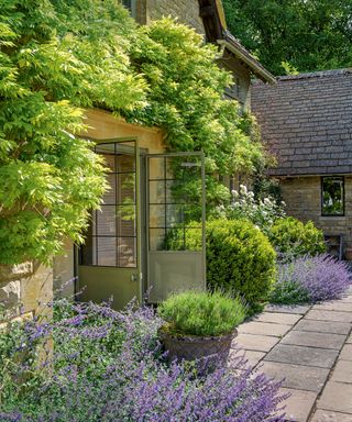 lavender bushes planted round doorway