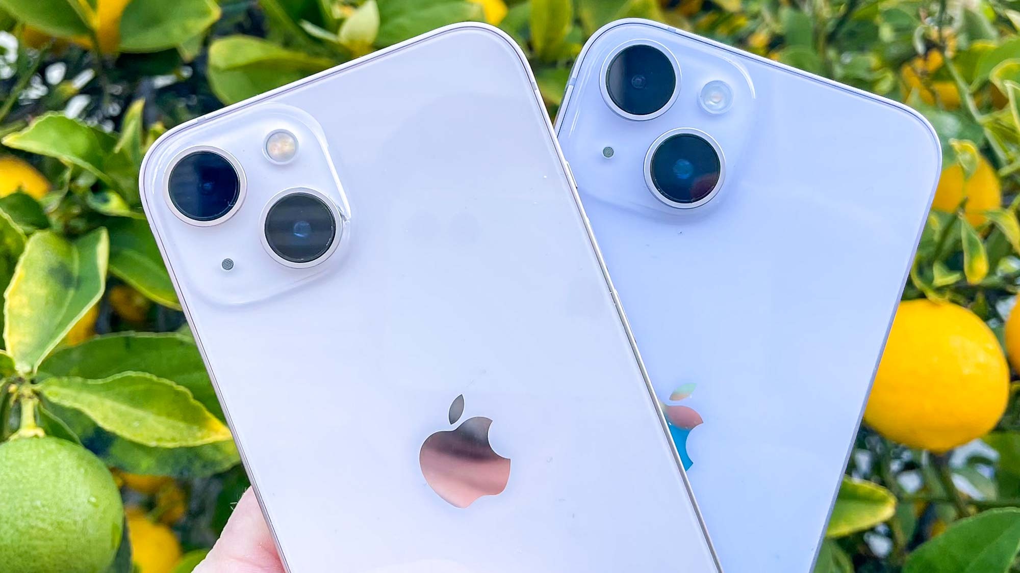 all iphone cameras compared