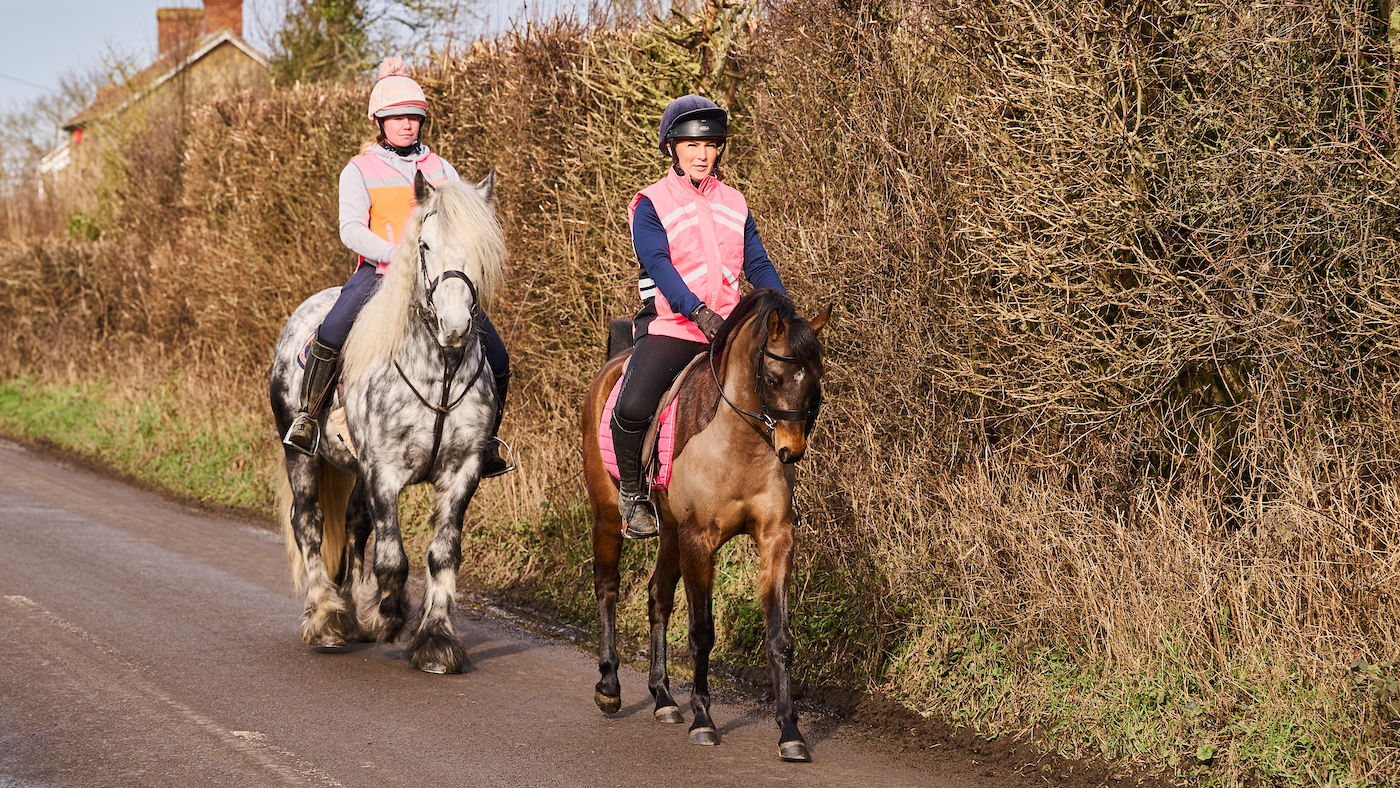Roadwork can be beneficial when bringing horses back to fitness