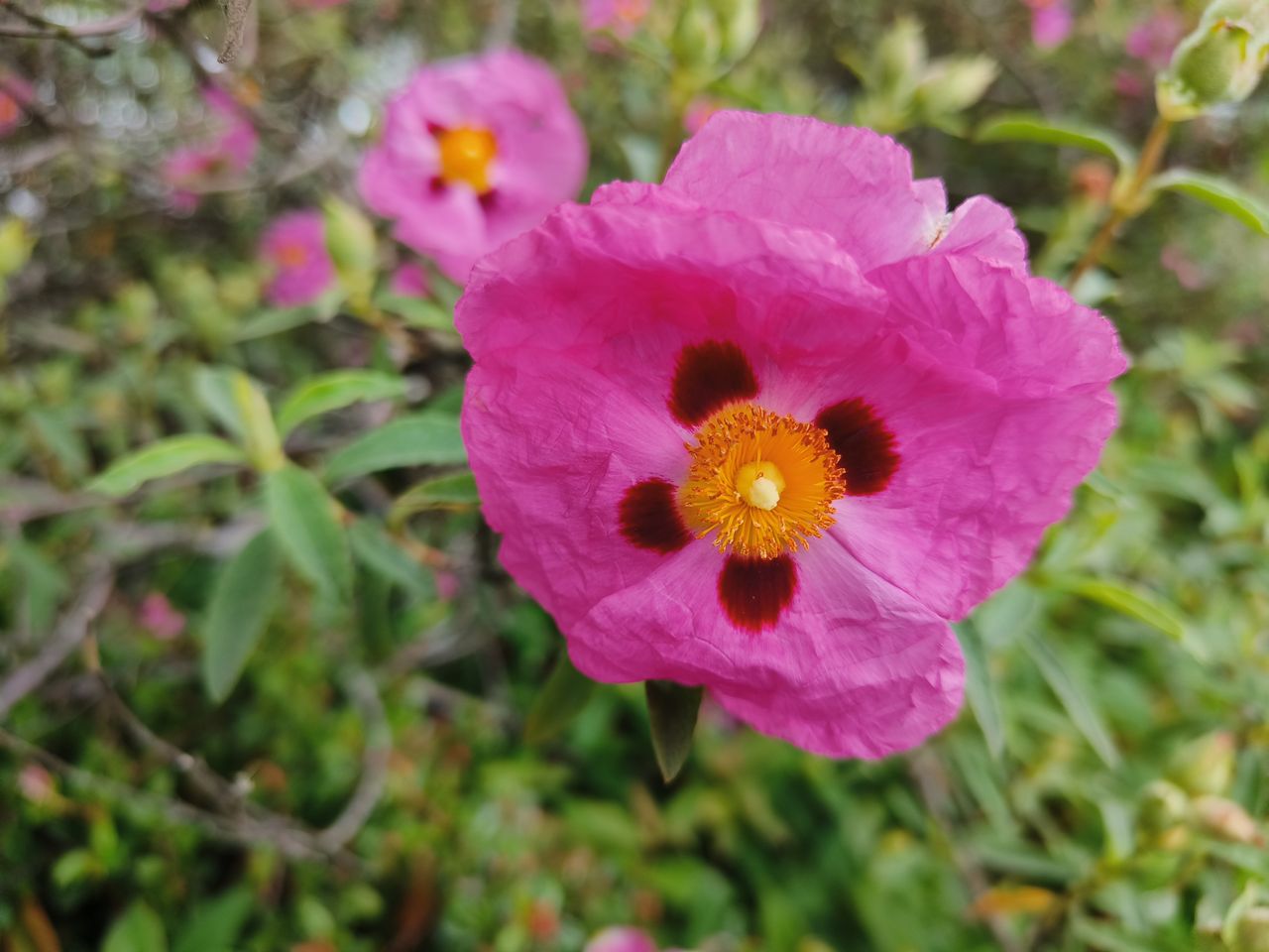 Realme GT Neo 3 camera samples review