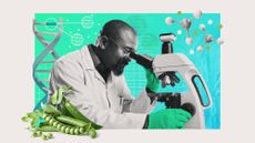 Photo composite illustration of a scientist using a microscope alongside a pea plant, DNA helix, ammonia molecules and Rhizobium bacteria