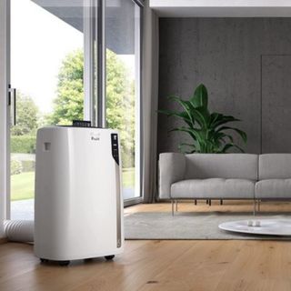 De'Longhi Pinguino Air Conditioner in a living room with a gray couch.