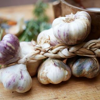 Fresh plaited garlic on wooden table