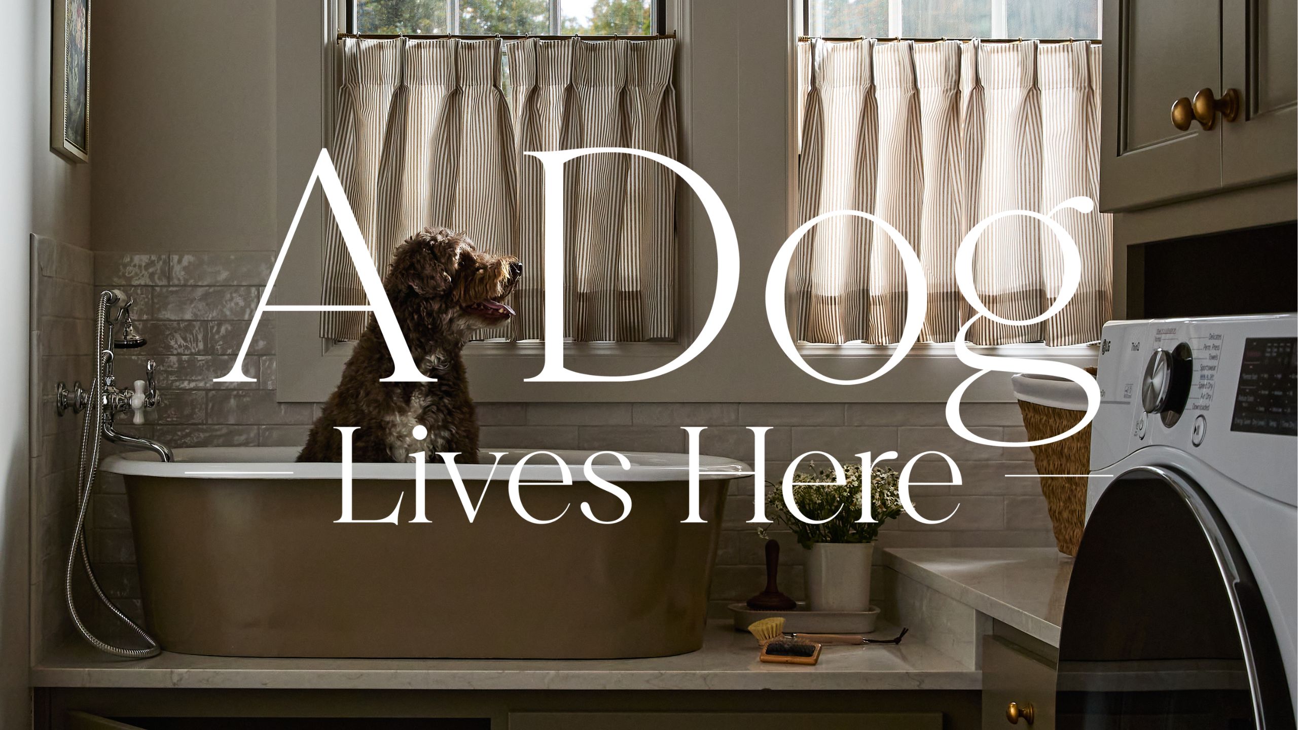 a poodle dog sits in a bath rub on the side of a bootroom