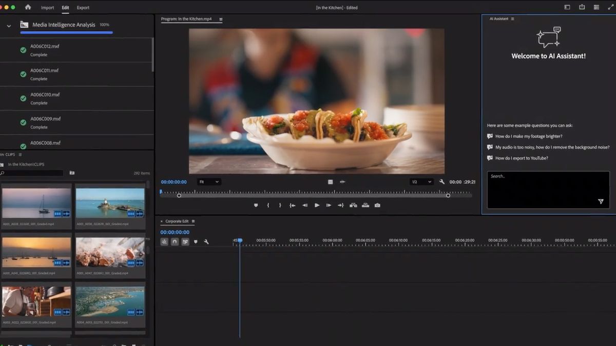 A screenshot of an AI agent in Adobe Premiere Pro