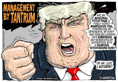 Political cartoon U.S. Trump White House chaos