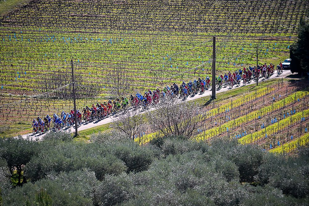 The peloton rides through vineyards during Tuesday's opening stage of Tour la Provence