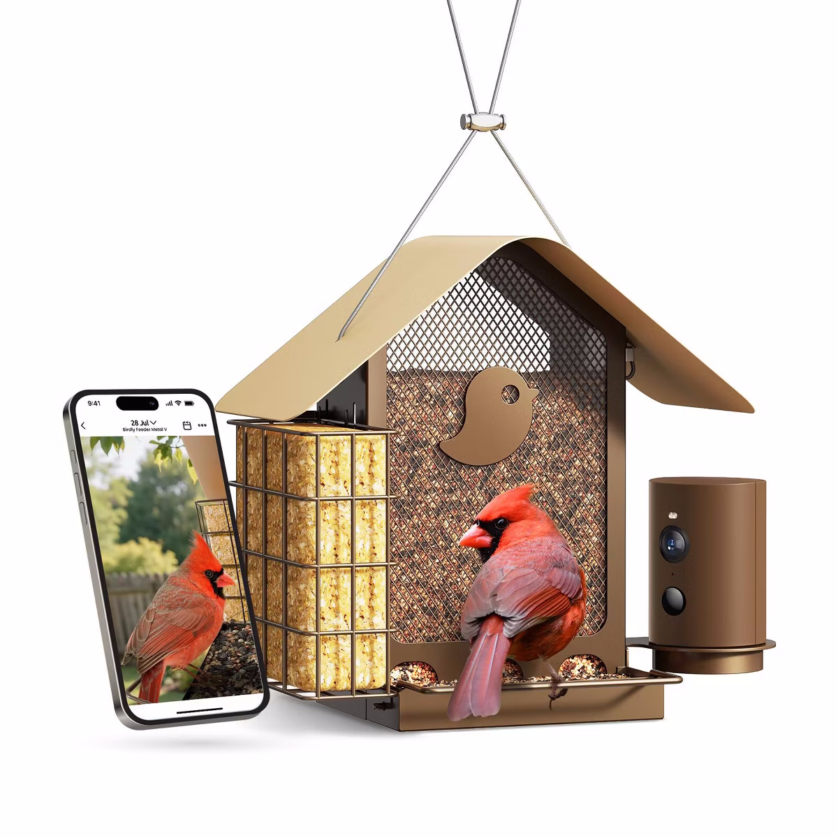 Birdfy Metal V Smart Bird Feeder