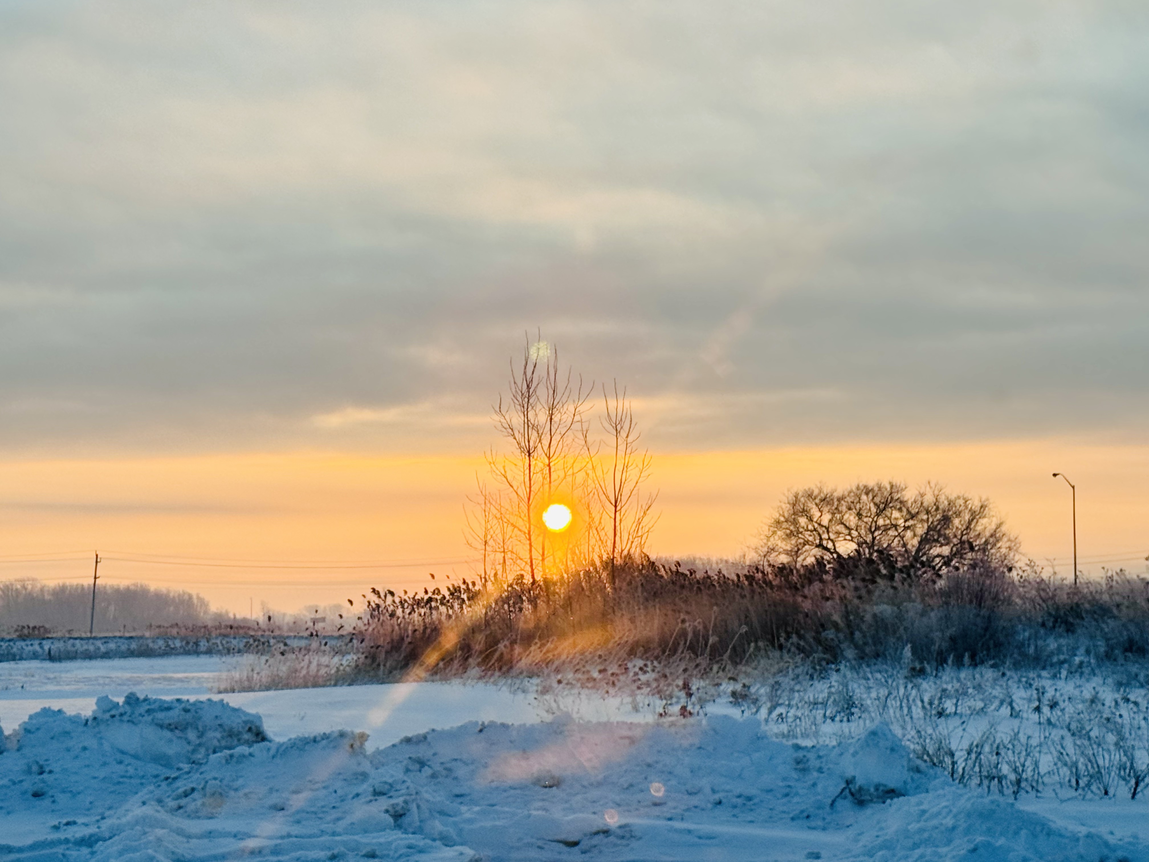 GuruShots - Nature March 2026