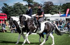 benhobdaysidesaddle.jpg