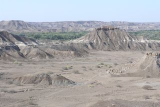 Dikika, the site in northern Ethiopia where Selam's fossil was found in 2000. She is sometimes known as the "Dikika baby."