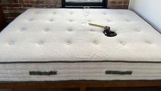 Avocado Green Mattress with a wine glass and weight, during motion transfer test