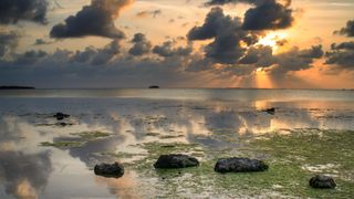 Cannon Beach, Key Largo, USA