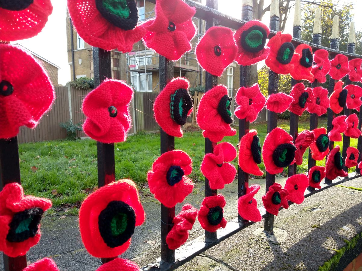 Like quite a lot of mid-range cameras, the HTC U11 Life&rsquo;s struggles a little with vivid reds, making these woven poppies look a little odd