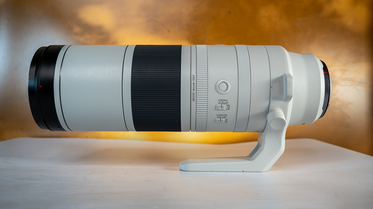 Canon RF 200-800mm F6.3-9 IS USM against a bright background