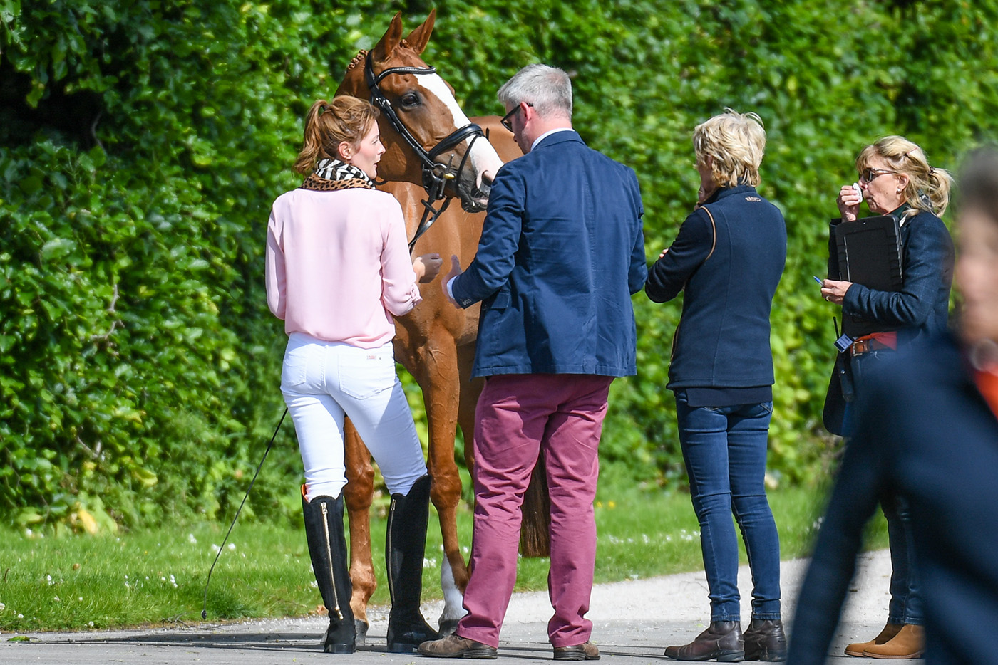 Bramham Horse Trials final trot-up: Kellypsa Van T Asscahaut