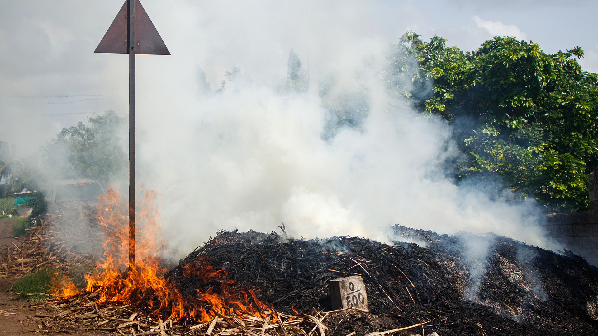 An image of a burning sugarcane field, with the orange flames producing billowing gray smoke.
