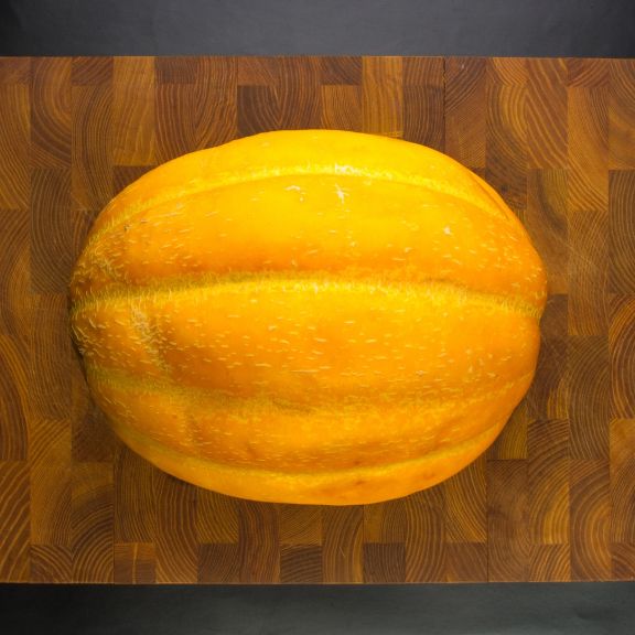 History Of Algerian Melons | Gardening Know How