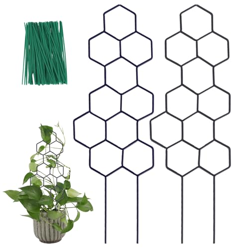 Wellsign Small Trellis for Potted Plants, 15.94 Inch Metal Plant Trellis for Climbing Plants Indoor Pot Honeycomb Shape Lattice for Ivy Vines Hoya Houseplants Flower 2 Pack