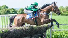 Point-to-point championship 2024: Izzie Marshall riding I K Brunel