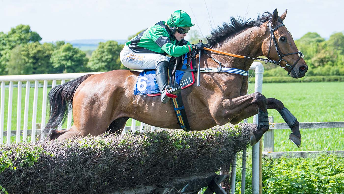 Point-to-point championship 2024: Izzie Marshall riding I K Brunel