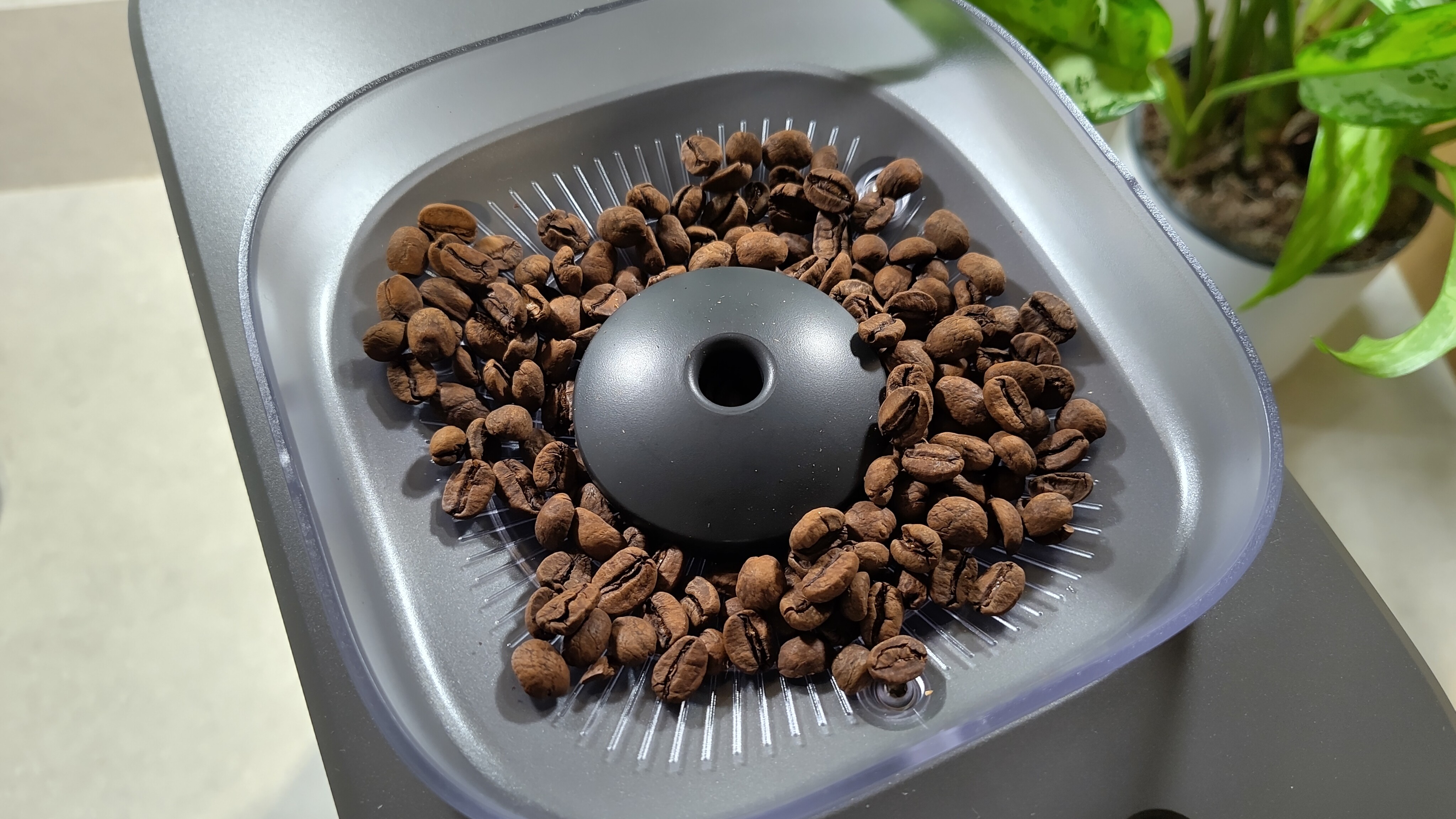 Philips Baristina espresso machine hopper with coffee beans