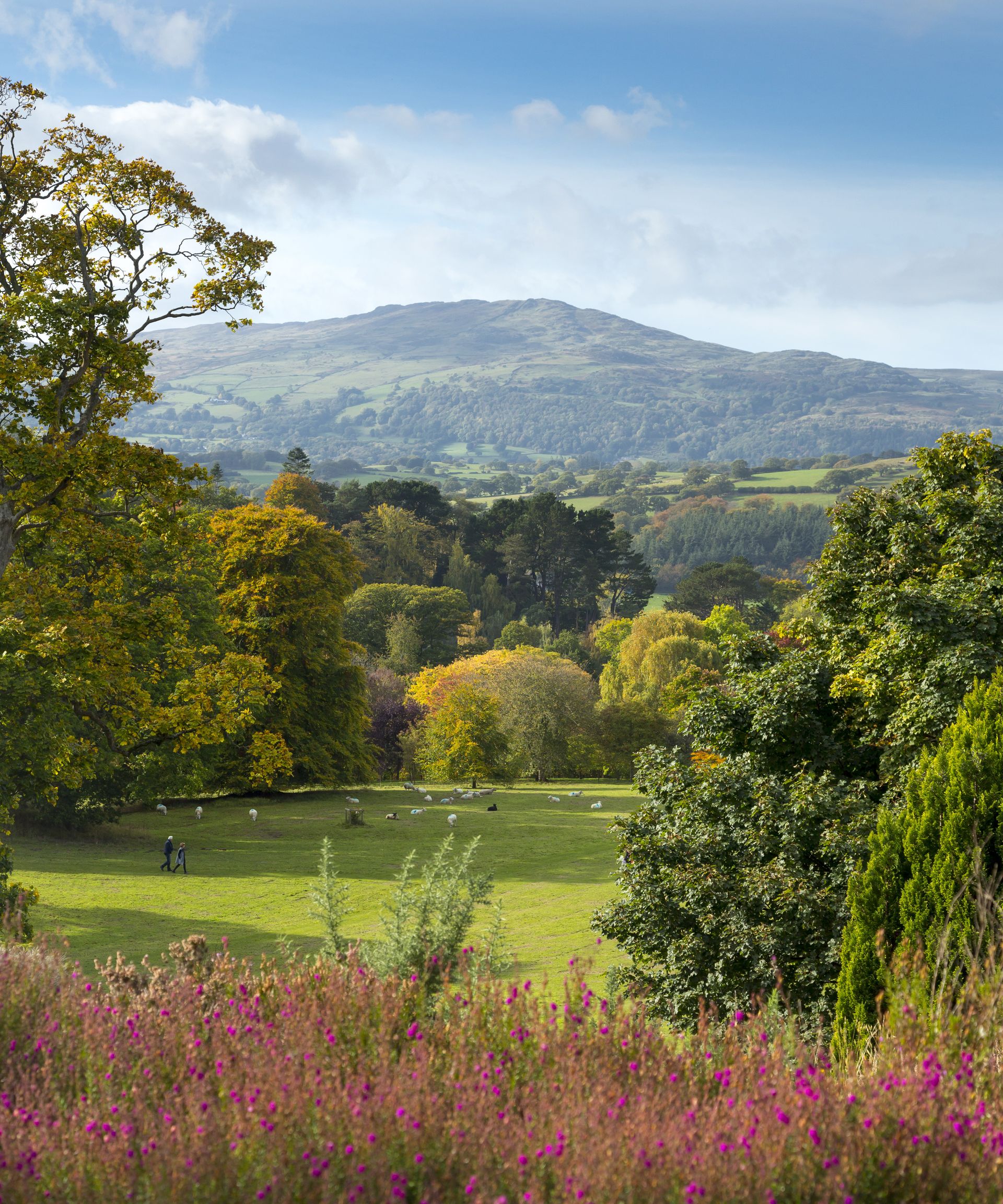 Iona McLaren – Bodnant Garden